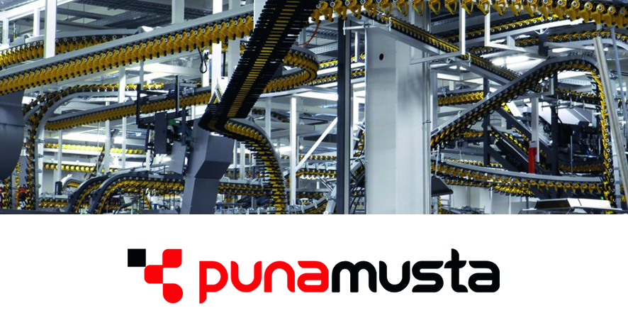 Punamusta